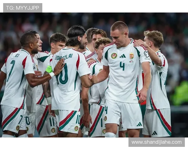 维尼修斯早识索博斯洛伊常聊天